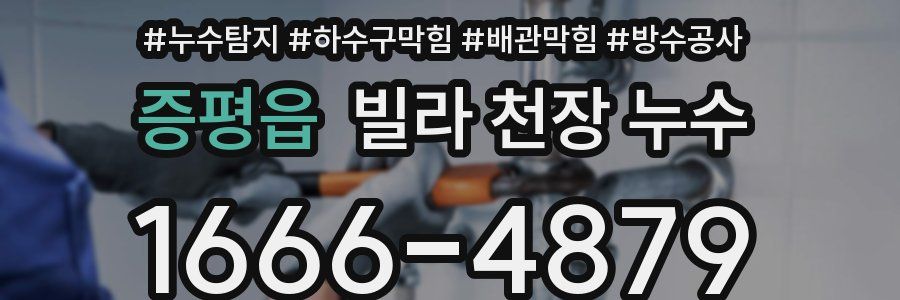 증평읍 빌라 천장 누수