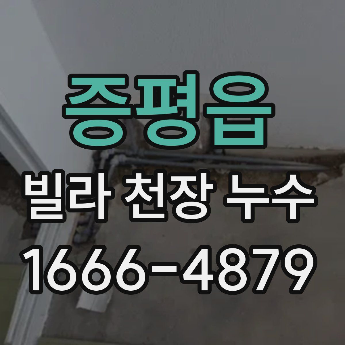 증평읍 빌라 천장 누수
