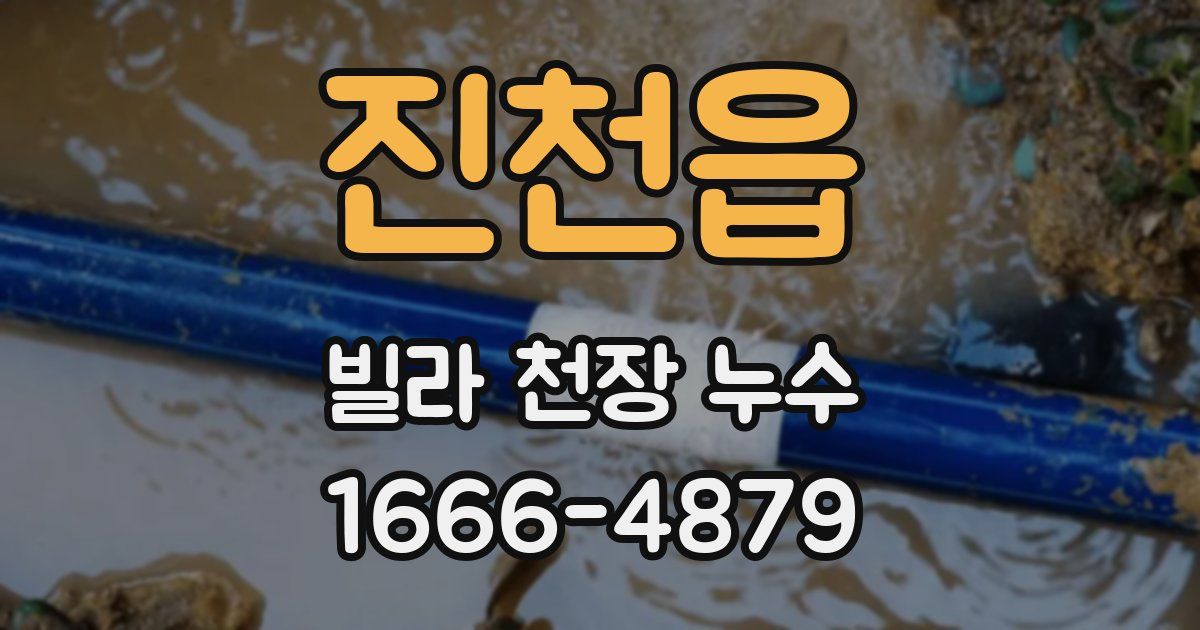 진천읍 빌라 천장 누수