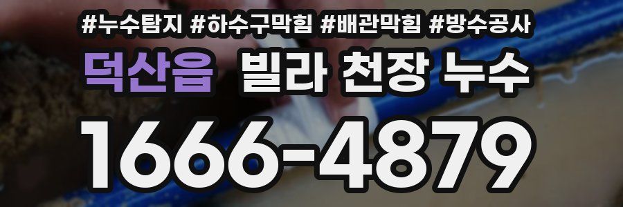 덕산읍 빌라 천장 누수