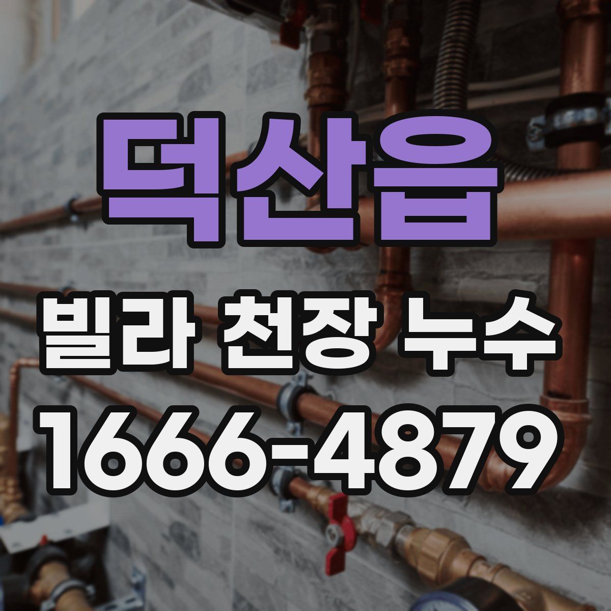 덕산읍 빌라 천장 누수