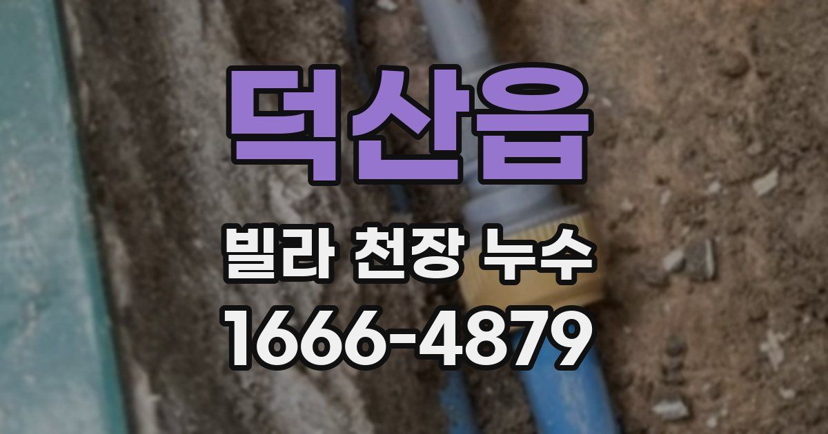 덕산읍 빌라 천장 누수