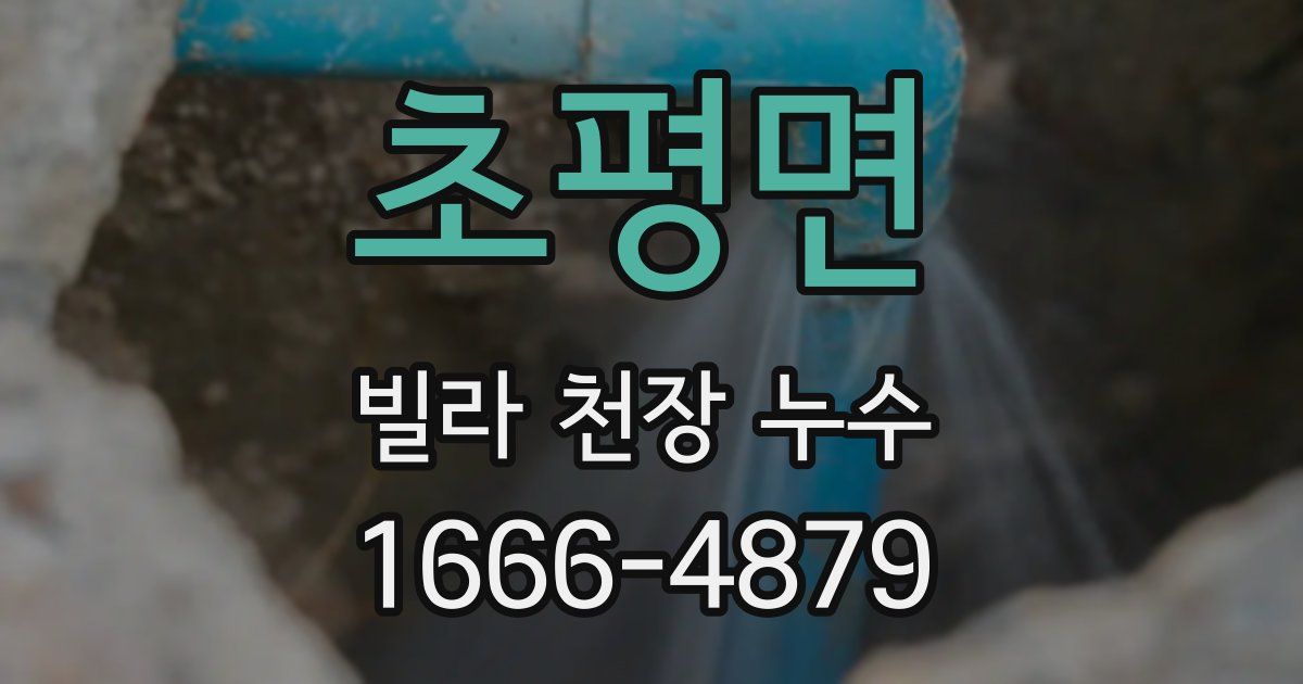 초평면 빌라 천장 누수