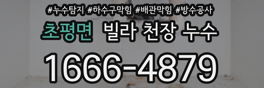초평면 빌라 천장 누수