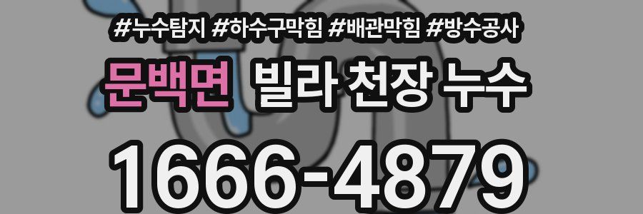 문백면 빌라 천장 누수