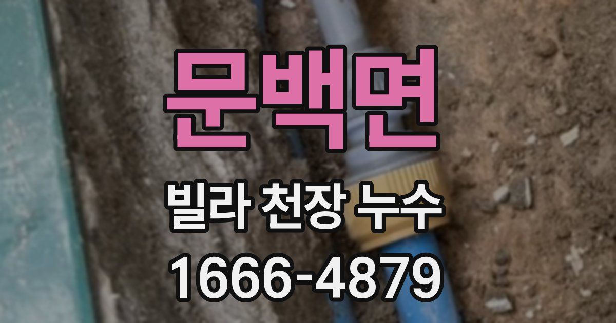 문백면 빌라 천장 누수