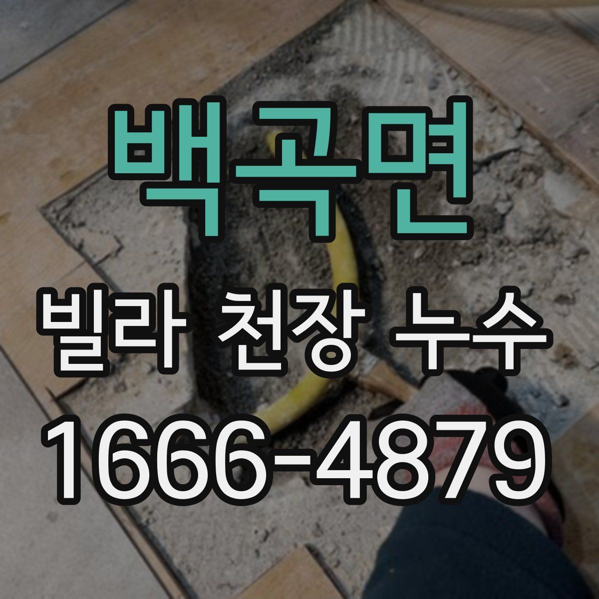 백곡면 빌라 천장 누수