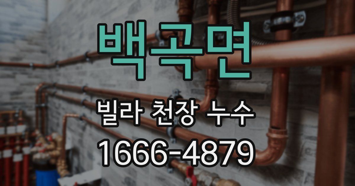 백곡면 빌라 천장 누수