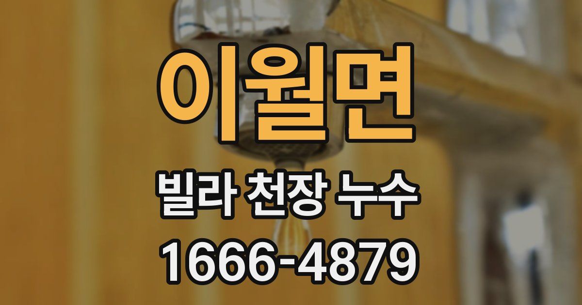 이월면 빌라 천장 누수