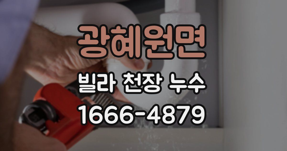 광혜원면 빌라 천장 누수