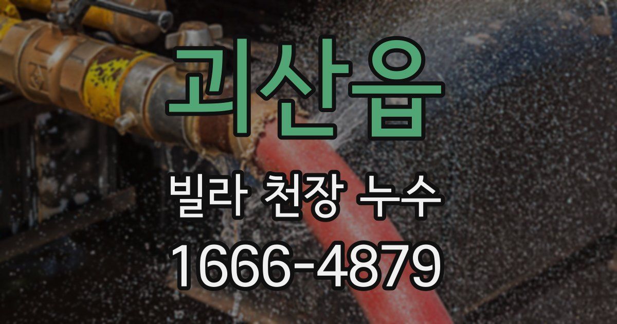 괴산읍 빌라 천장 누수