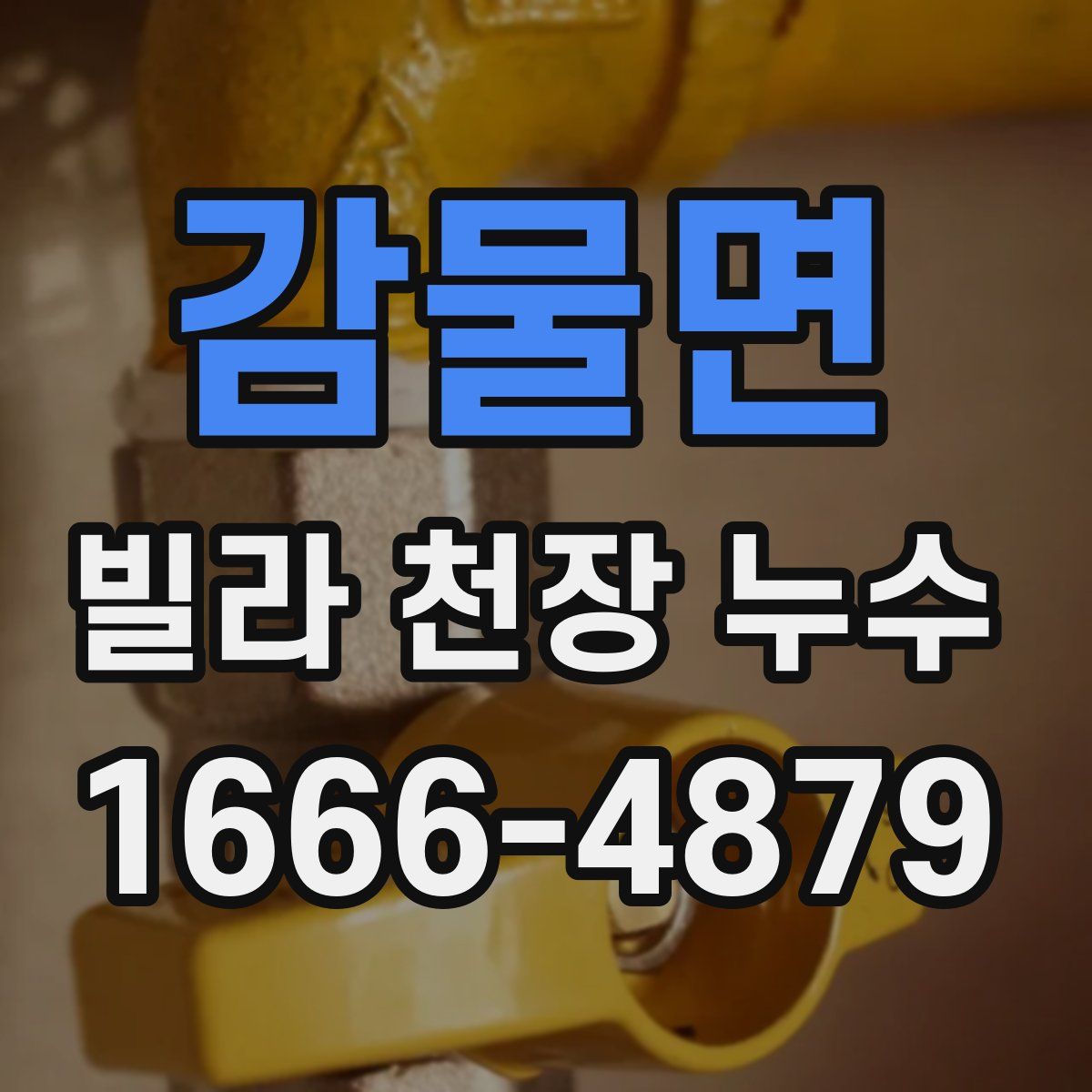 감물면 빌라 천장 누수