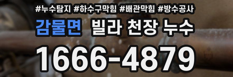 감물면 빌라 천장 누수