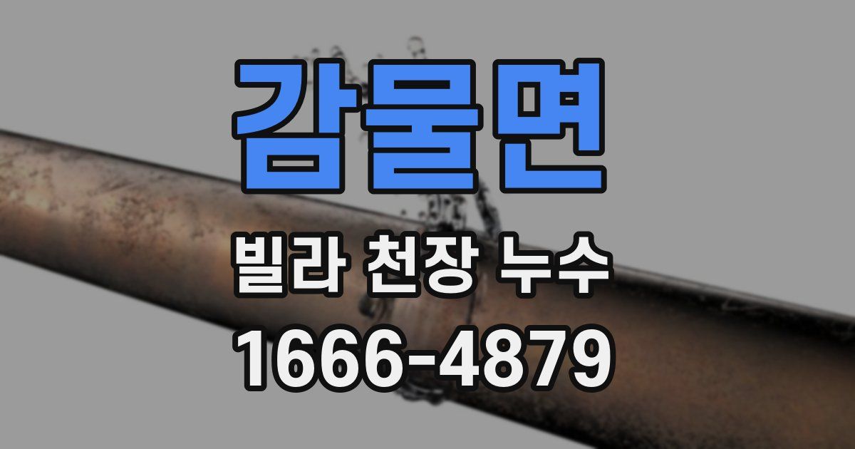 감물면 빌라 천장 누수