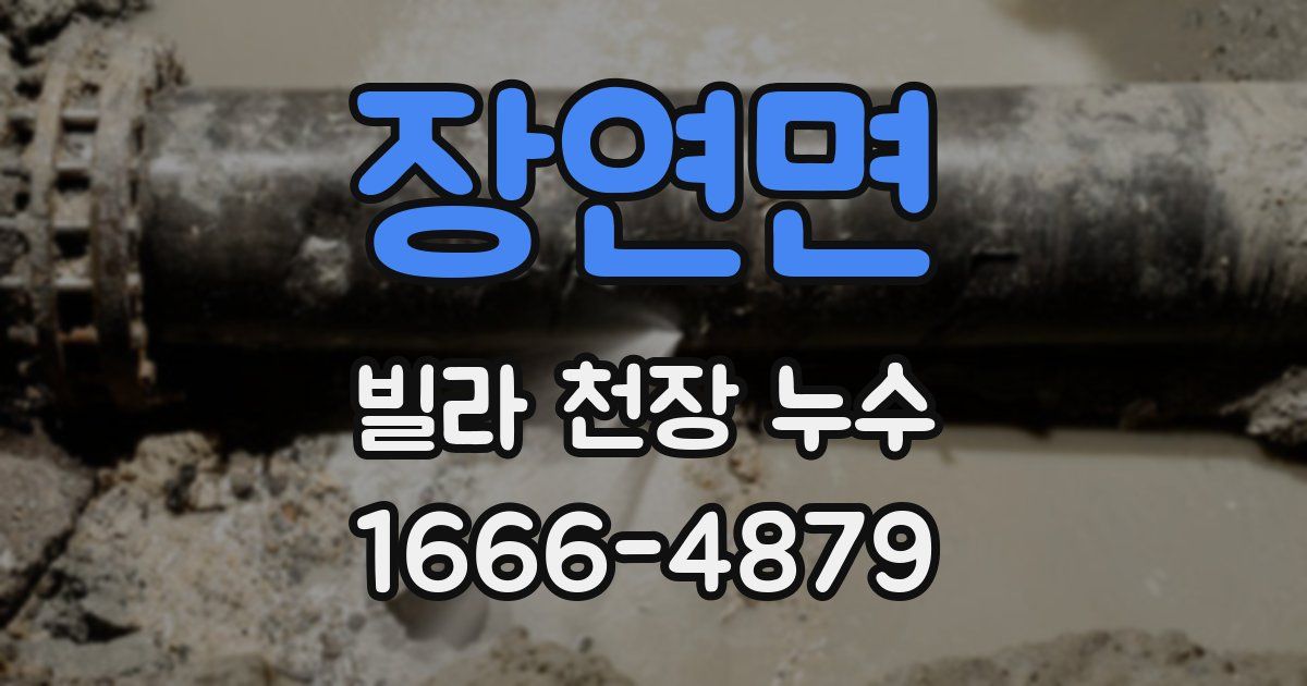 장연면 빌라 천장 누수