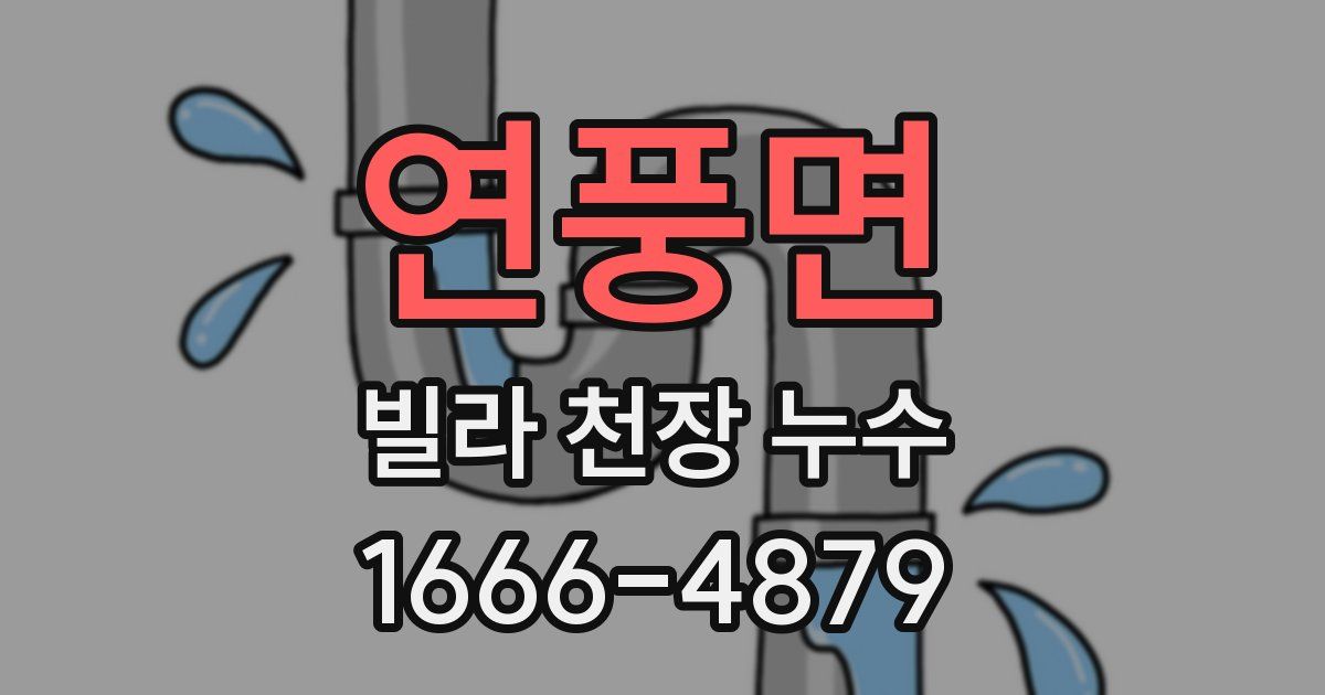 연풍면 빌라 천장 누수
