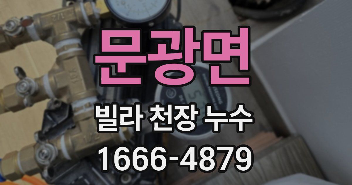 문광면 빌라 천장 누수