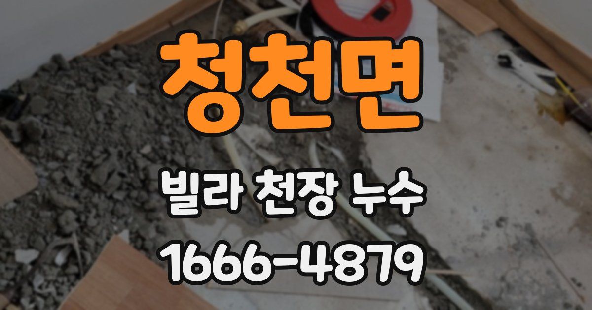 청천면 빌라 천장 누수