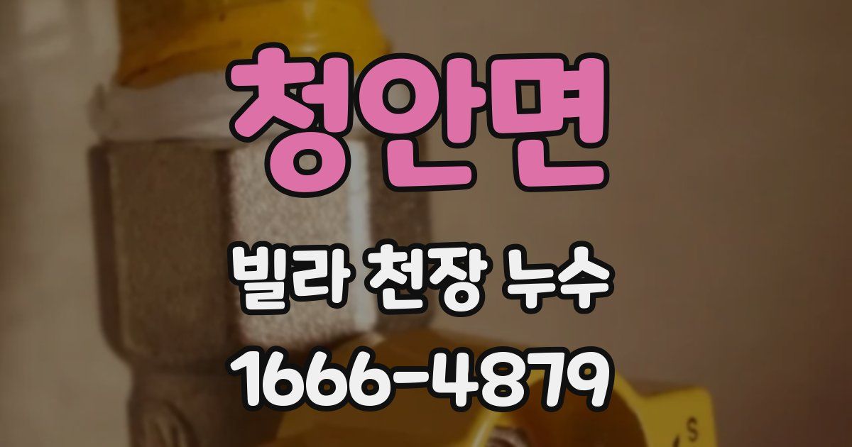 청안면 빌라 천장 누수