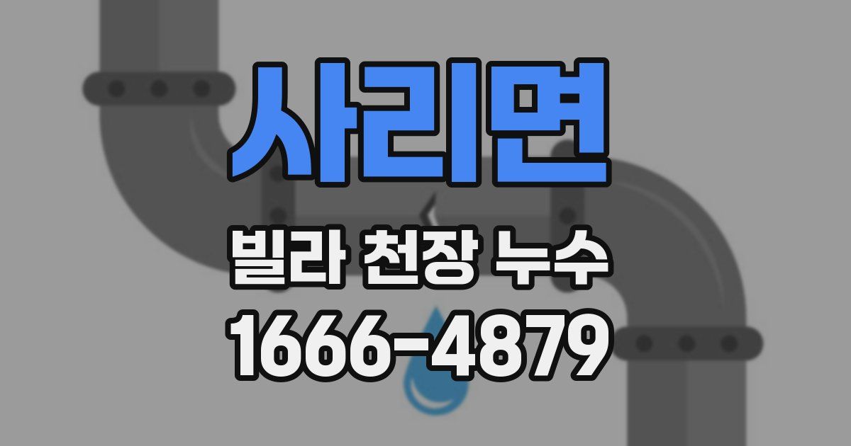 사리면 빌라 천장 누수