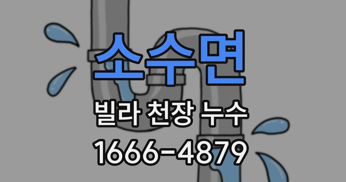 소수면 빌라 천장 누수