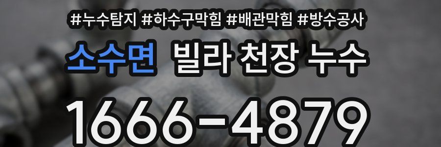 소수면 빌라 천장 누수