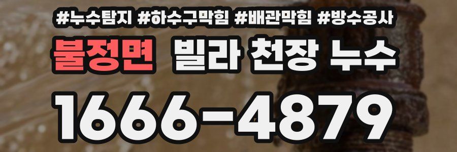불정면 빌라 천장 누수