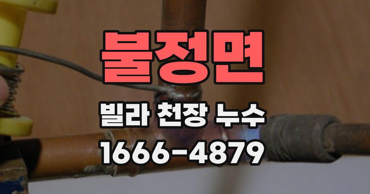 불정면 빌라 천장 누수