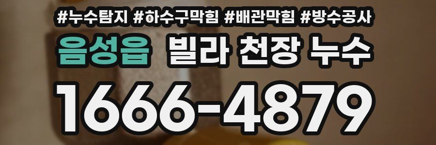 음성읍 빌라 천장 누수