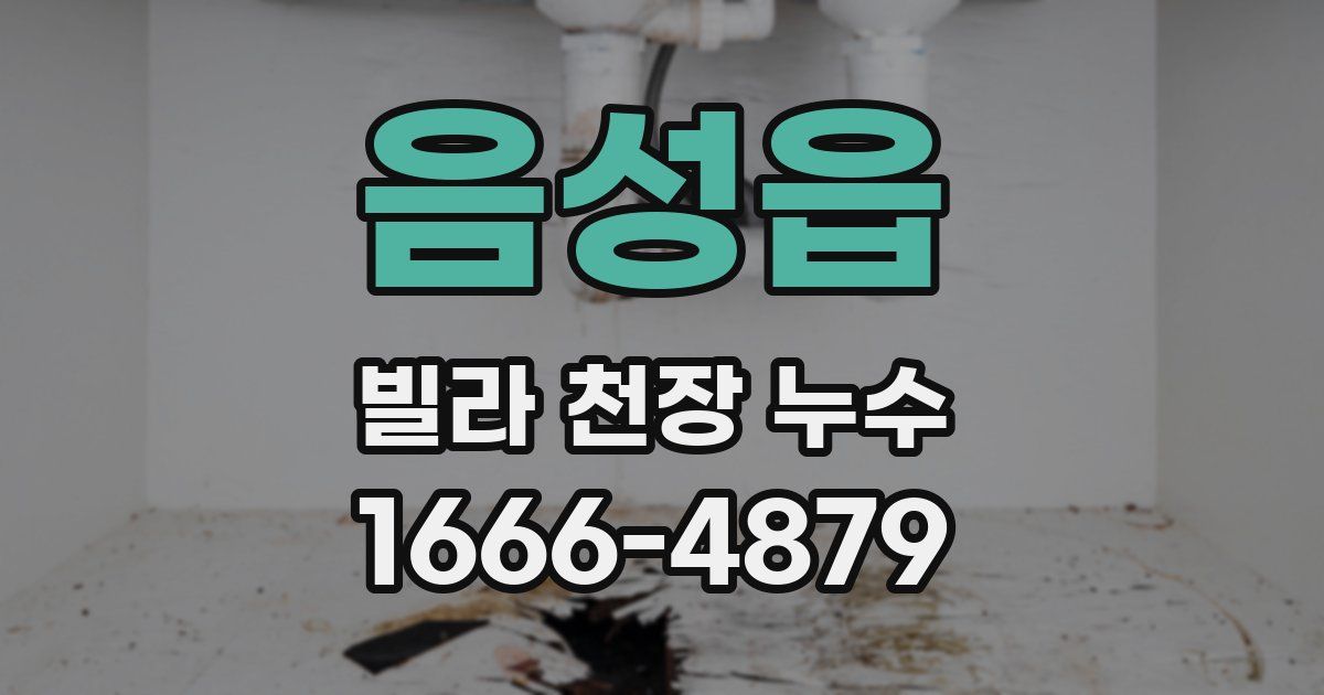 음성읍 빌라 천장 누수