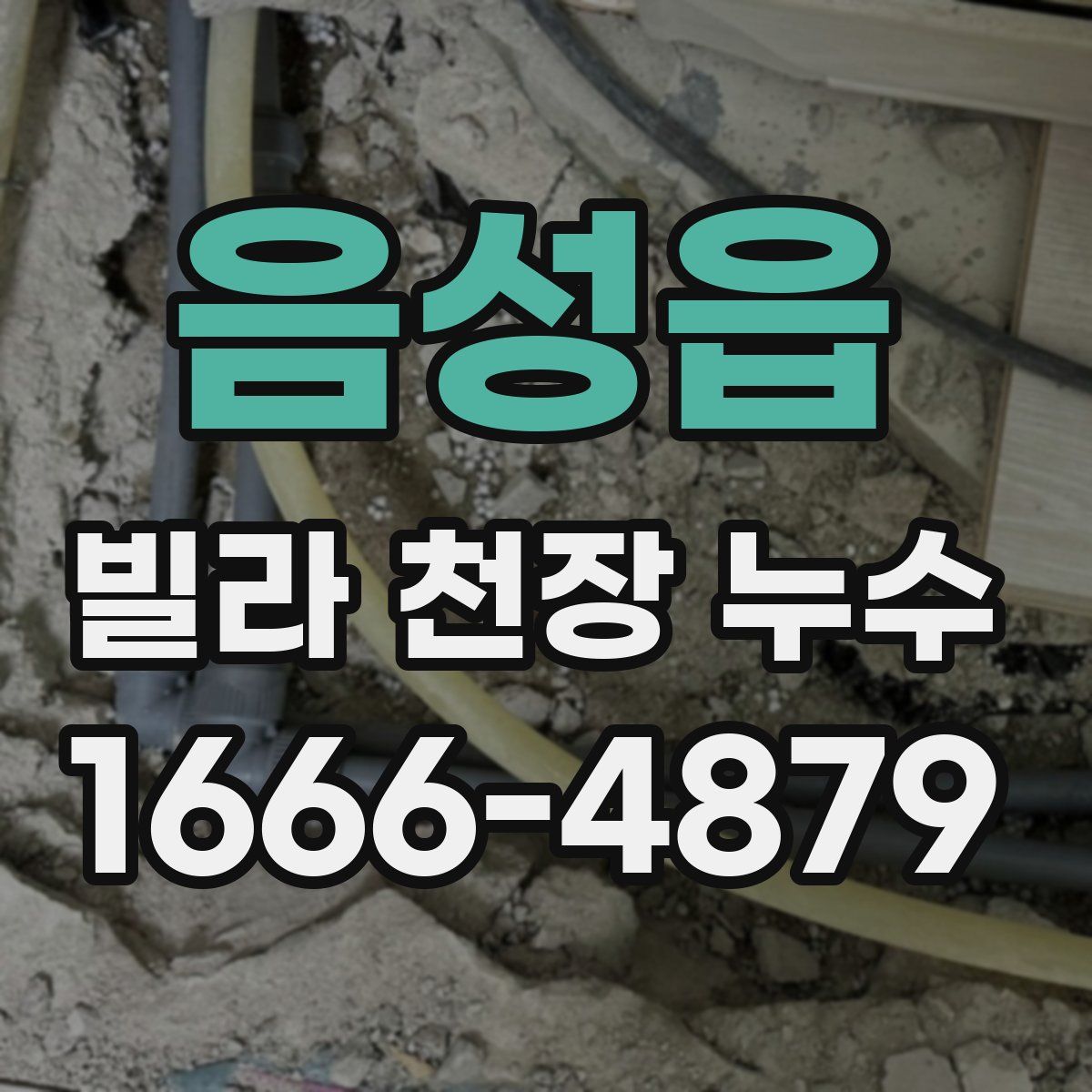 음성읍 빌라 천장 누수