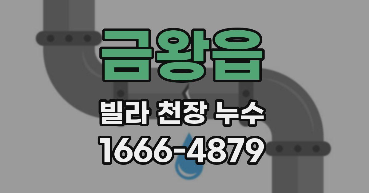 금왕읍 빌라 천장 누수