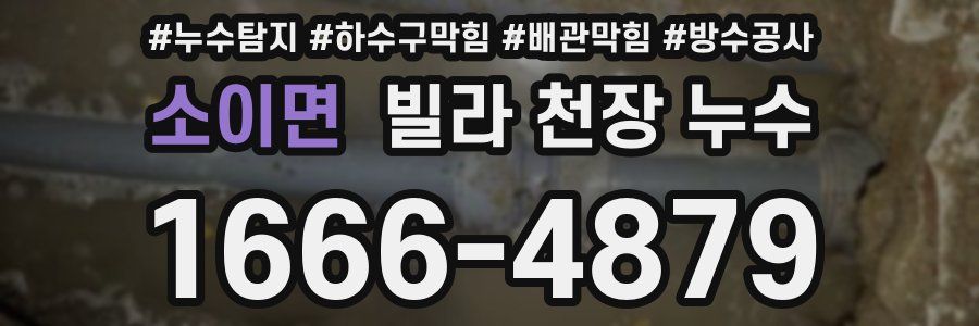 소이면 빌라 천장 누수