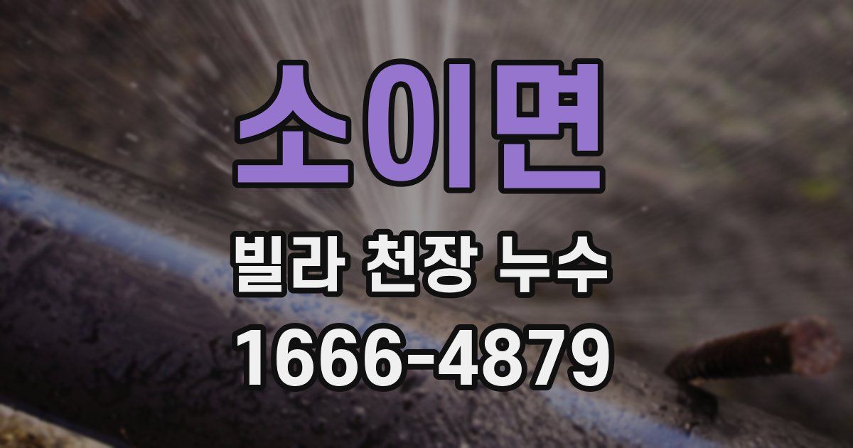 소이면 빌라 천장 누수