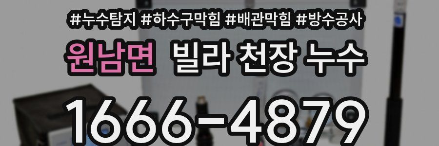 원남면 빌라 천장 누수