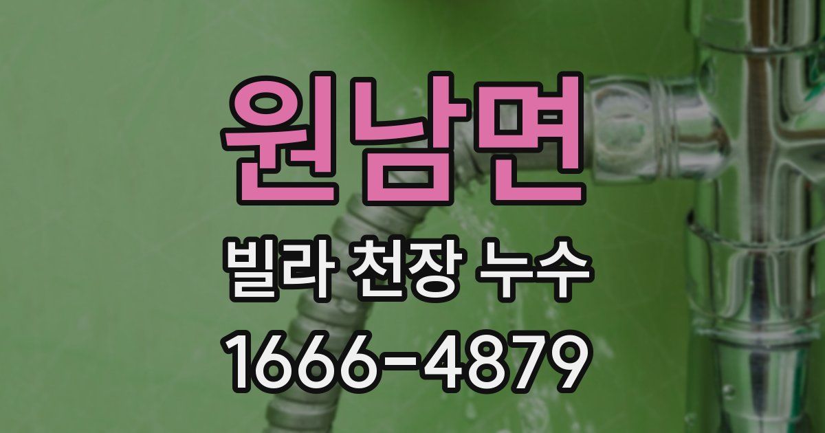 원남면 빌라 천장 누수