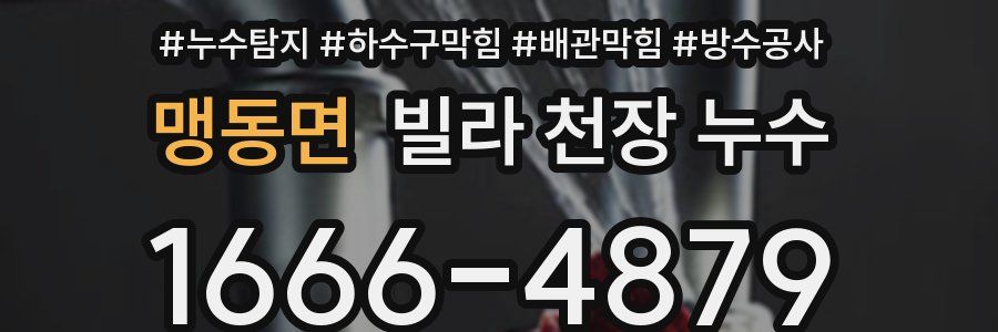 맹동면 빌라 천장 누수