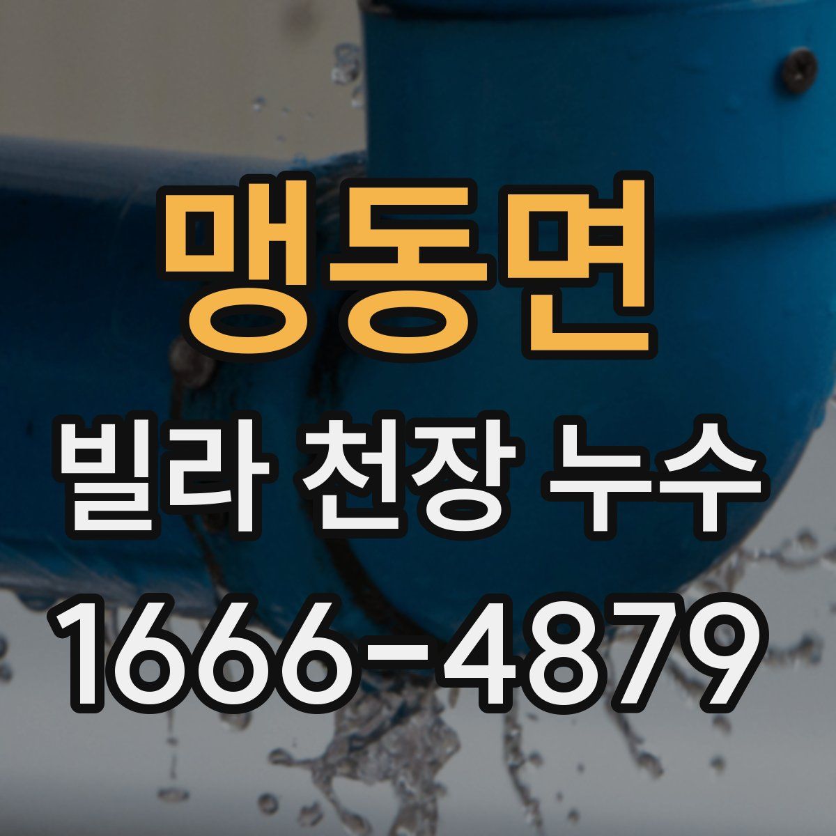 맹동면 빌라 천장 누수