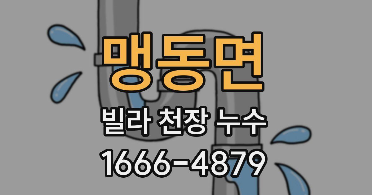 맹동면 빌라 천장 누수