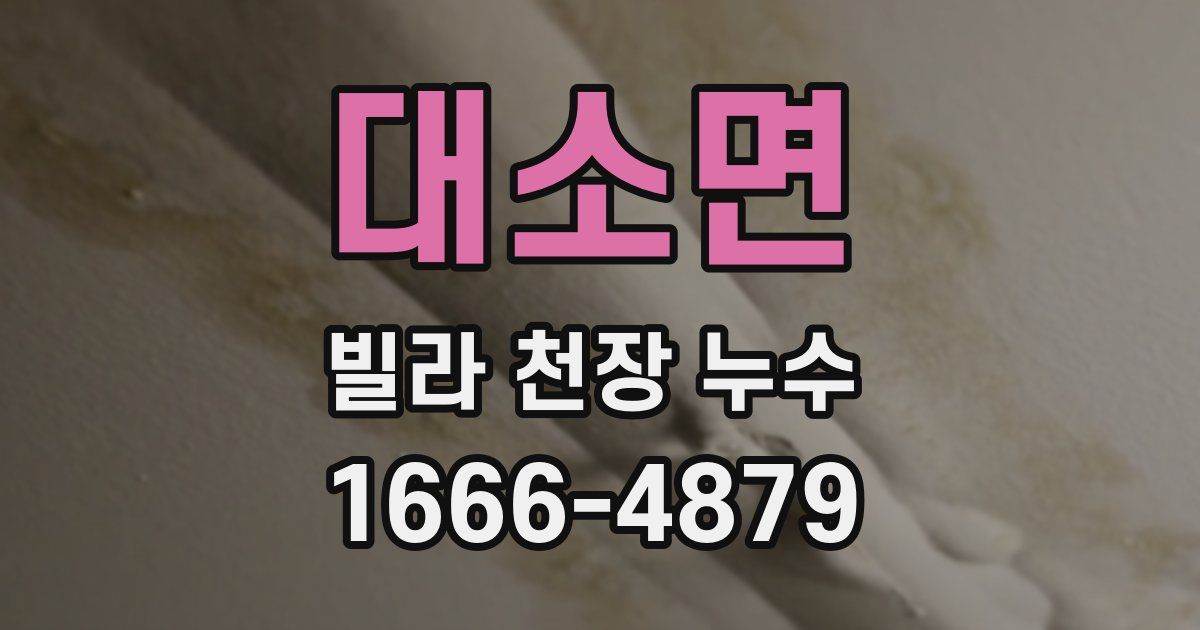 대소면 빌라 천장 누수