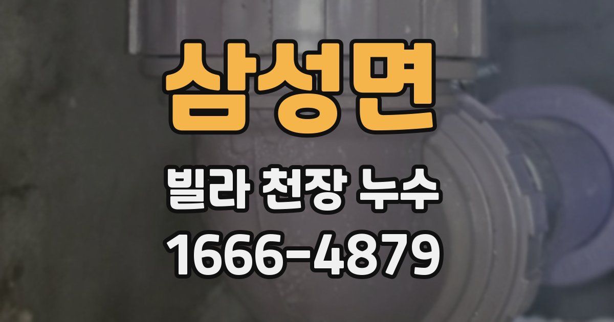 삼성면 빌라 천장 누수