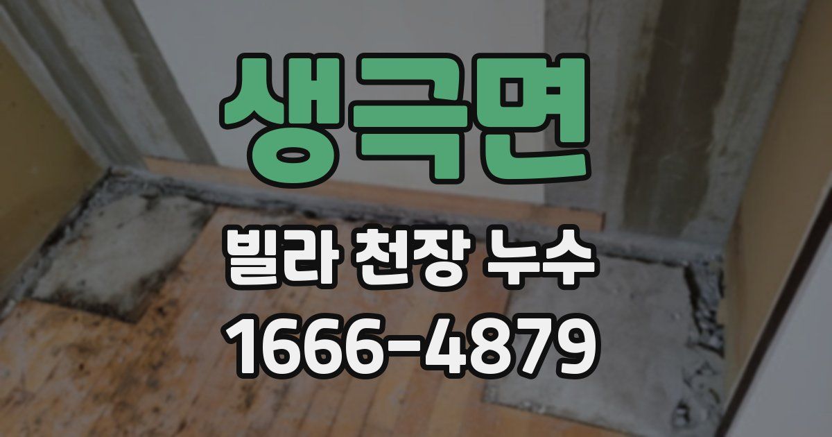 생극면 빌라 천장 누수