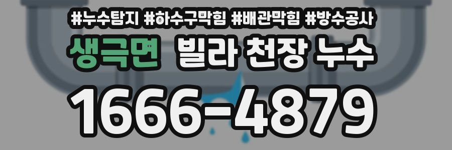 생극면 빌라 천장 누수