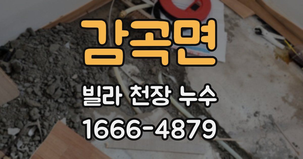 감곡면 빌라 천장 누수