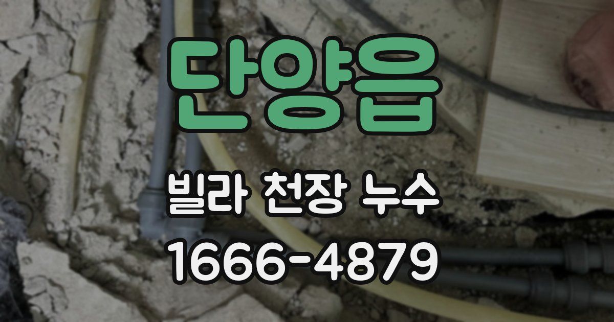 단양읍 빌라 천장 누수