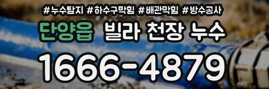 단양읍 빌라 천장 누수