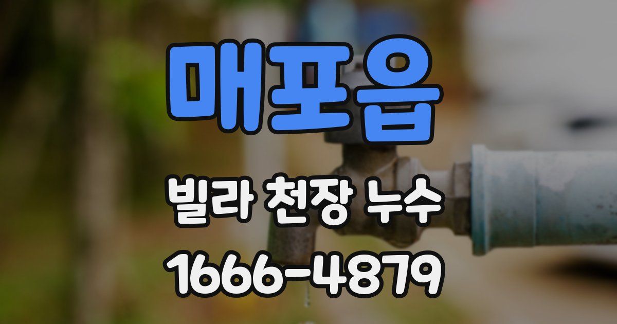 매포읍 빌라 천장 누수