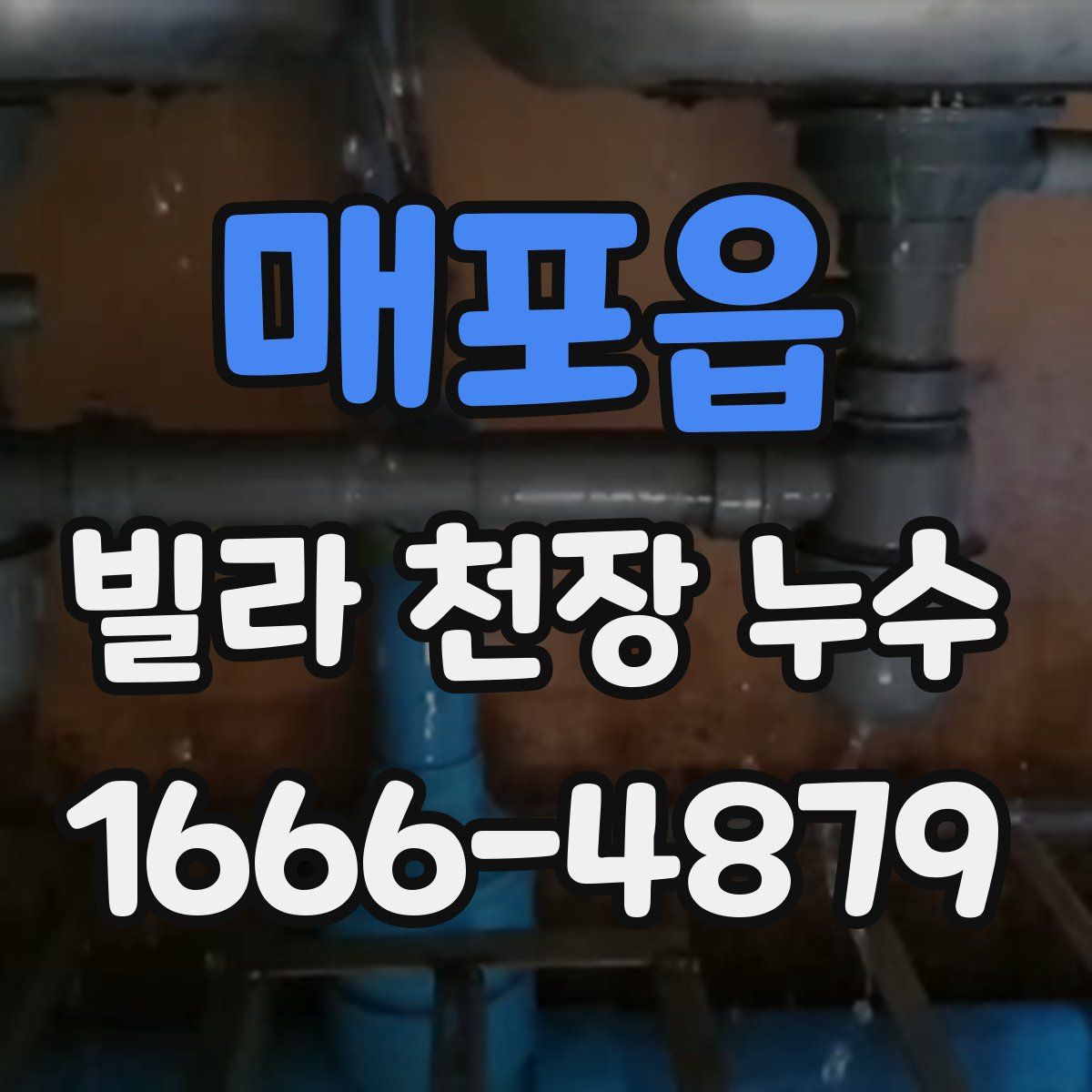 매포읍 빌라 천장 누수
