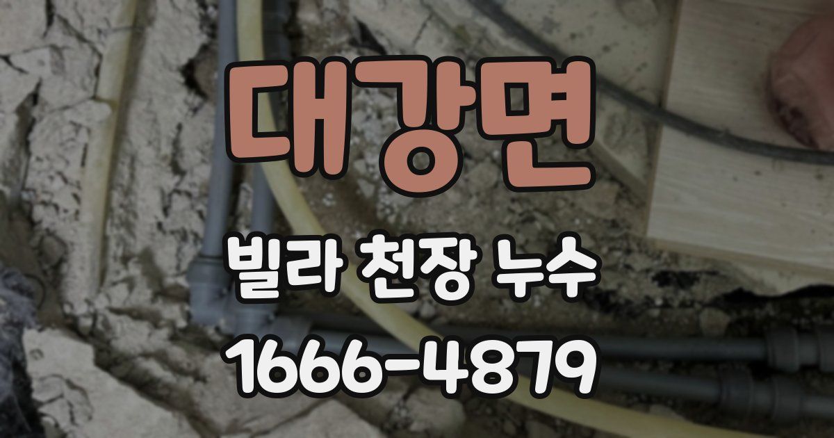 대강면 빌라 천장 누수