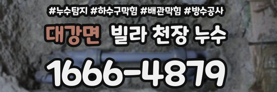 대강면 빌라 천장 누수